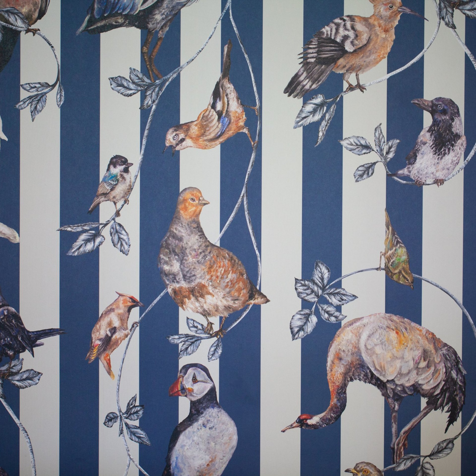 Künstlerische Vogel-Tapete Detaillierte Vogelillustrationen auf gestreifter Tapete mit blauen und weißen Streifen.